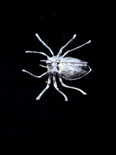 Load image into Gallery viewer, Silver and Champagne Spider brooch